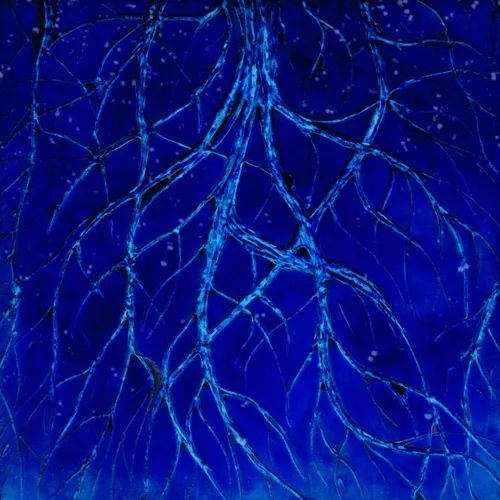 Deep Earth