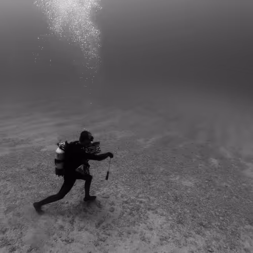 Deep Seaside