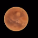Deep Thoughts From Mars