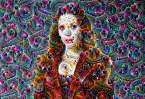 DeepDream Collection
