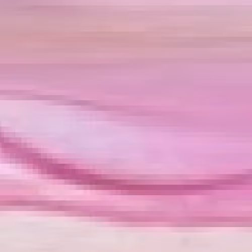 Deep into Pink and Purple