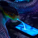 DeepSNAKES