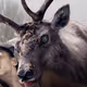 Deer Evil