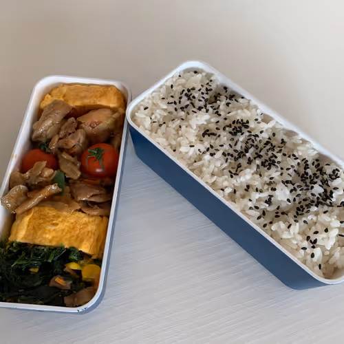 Bento made by father (Japanese box lunch)