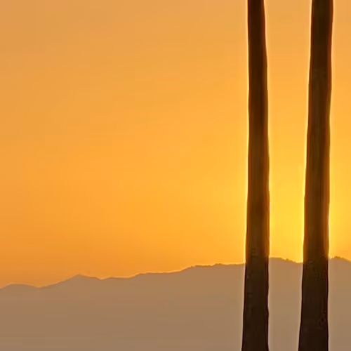 Nature inspired photos