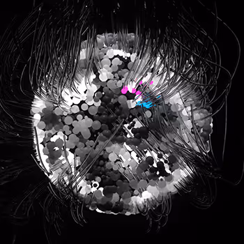 Delicious Virtual Growth