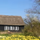 Denmark Countryside