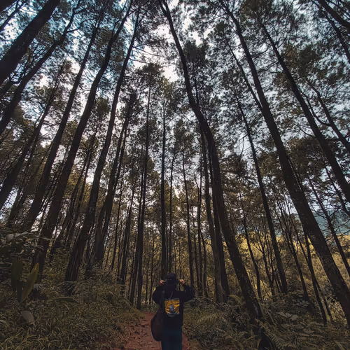 Galeri Photography #1 V3