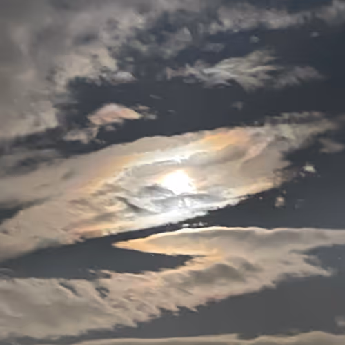 DerekReals RealWorld