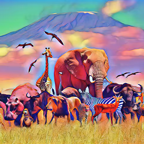 Desertdaydream Collection