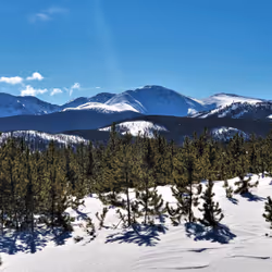 アイテム メディア プレースホルダー