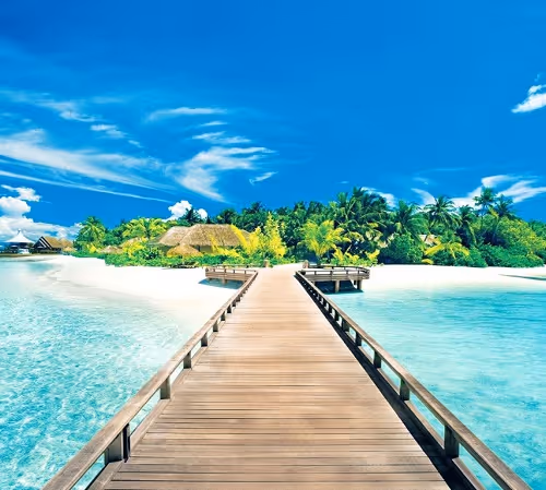 diamond0904 Collection