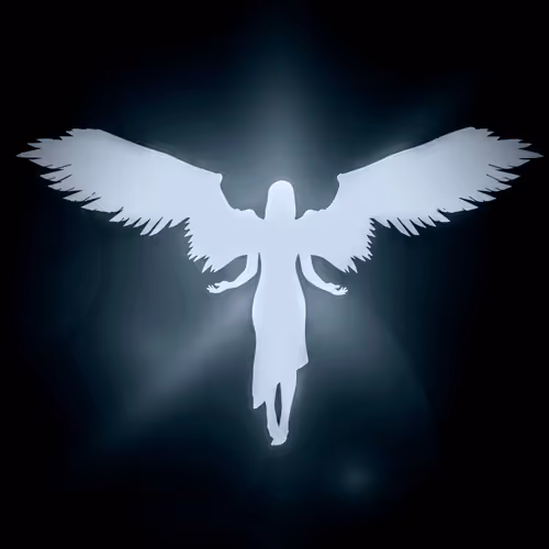 DIGITAL ANGELS AI POTFOLIO