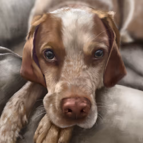 DigitalCryptoDogs