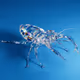 Digital Insect club