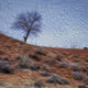 Digital Oil Painting Filter