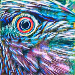 Item Media Placeholder