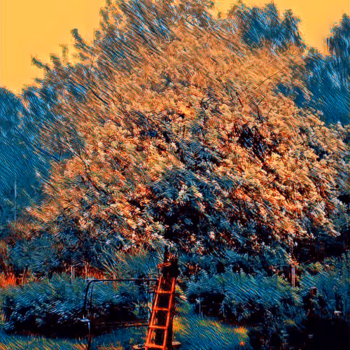 Digitalized moments of the life