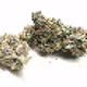 digital weed V2