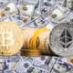 DigitMoney