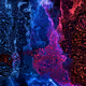 Digiwaves - old