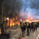 Into the Fire By Dillon W.