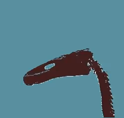 diNo set