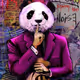 Discreet Rich Panda