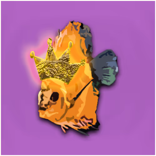 Disko the Discus - Into the Metaverse