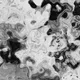 DISPERSED