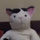 Displaced cat - old