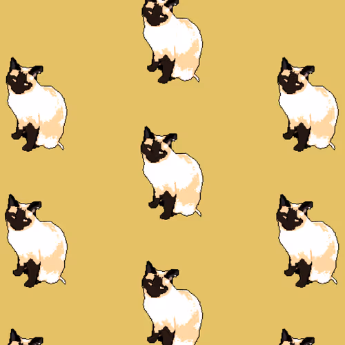 Dissatisfied Cat