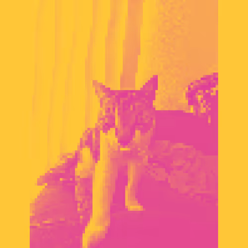 90's kids X DistortCat