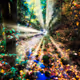 Distorted View
