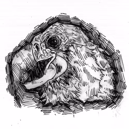 Disturbing Collection