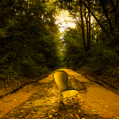 Dive In To The Autumn