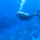 Dive through
