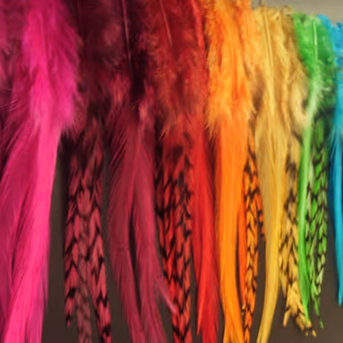 Divine Feathers