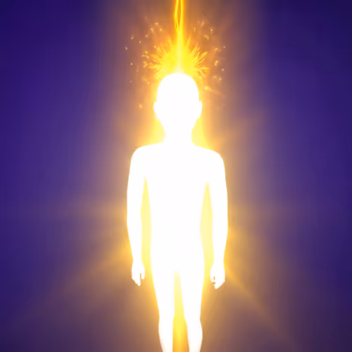 DivineVault
