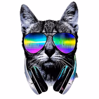 DJ cat
