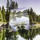 NATURE - LOVERS