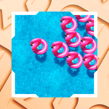 Flamingo Party