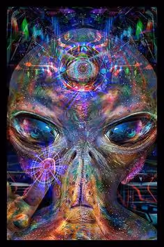 THE DMT COLLECTIVE
