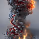 DNA Explosion