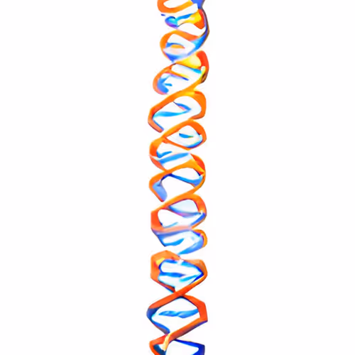 DNA TYPES