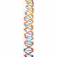 DNA TYPES