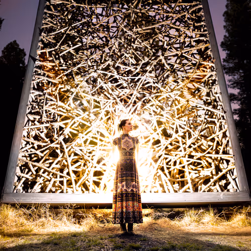 Doctor and the Dropout