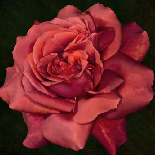 Documenting World Photography