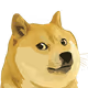 Dog Coin tool