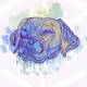 dog head stripes